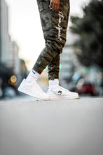 Load image into Gallery viewer, V:0.01 "Pandademic" low (pre order only)